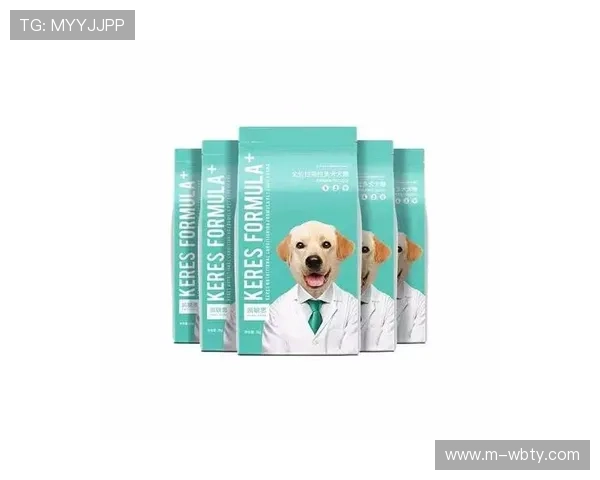 manbetx官网入口的常用登录方式及安全保障措施，为用户提供全面的安全保障与服务指导